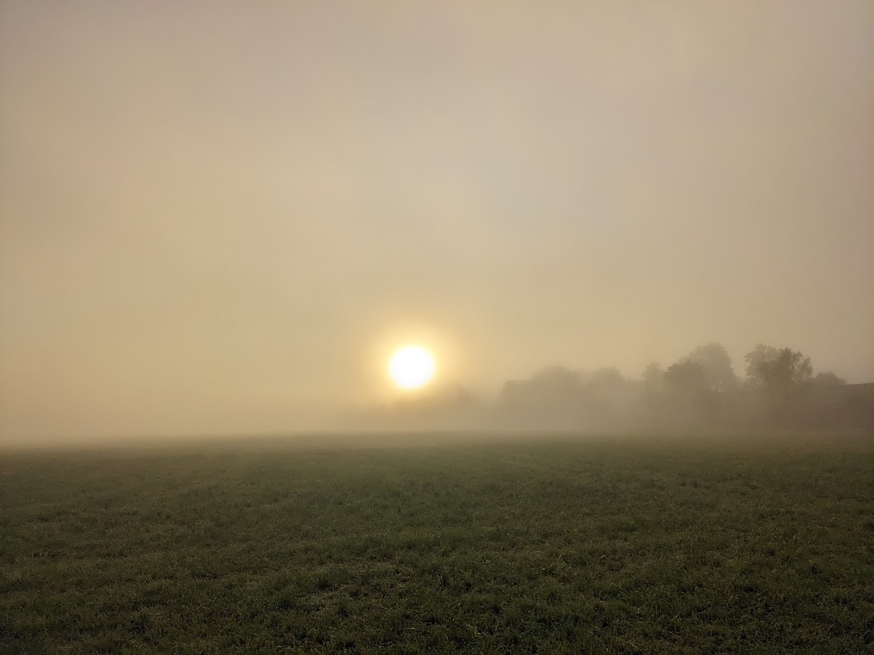 Nebel bei Sonnenaufgang