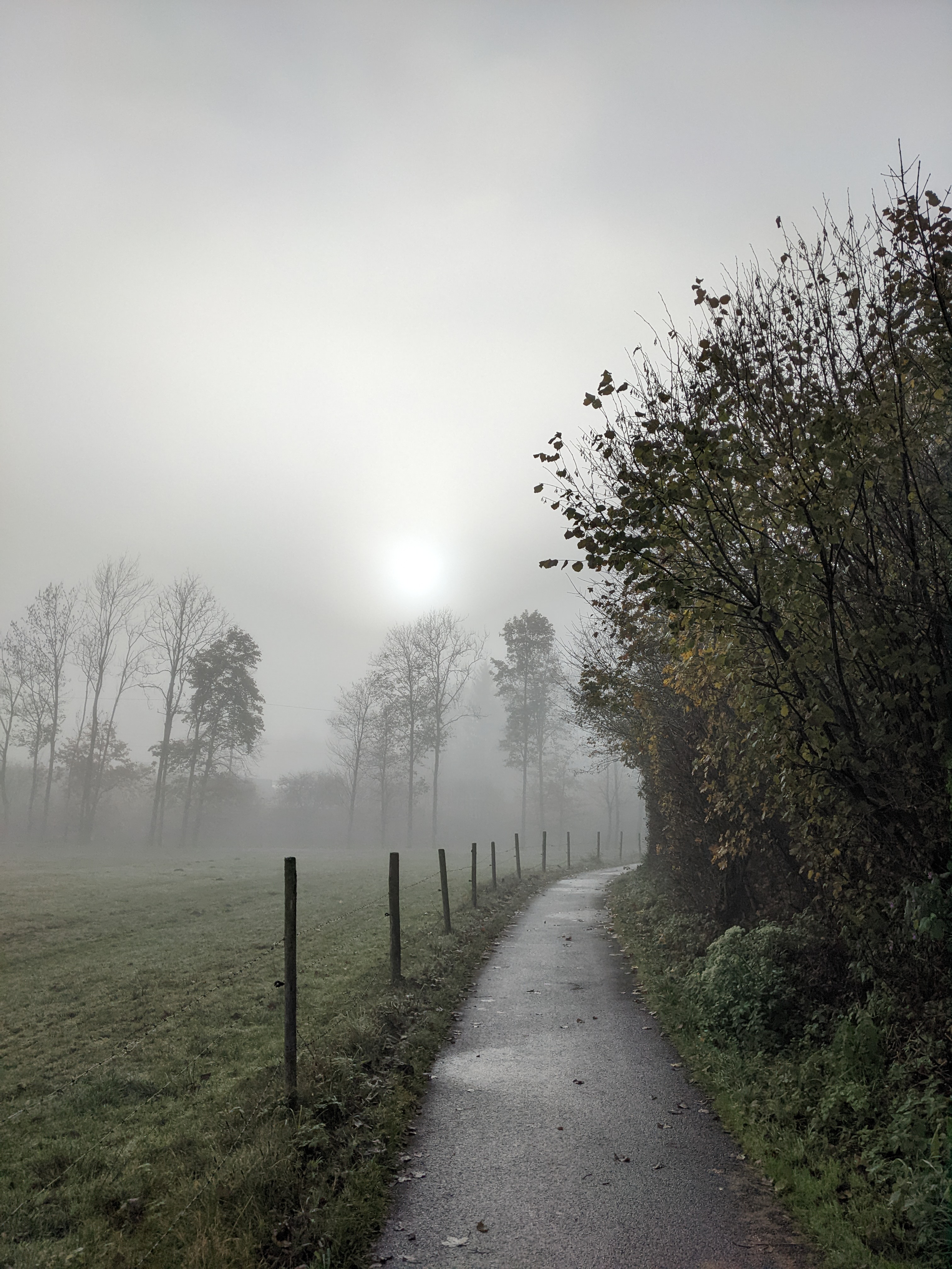 Weg im Nebel